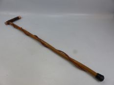 Walking stick inset with three pences