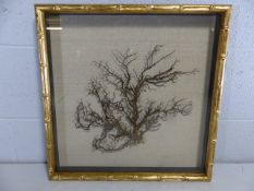 Plant stem housed in a Gilt frame