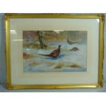 T. Wrigley - 'Pheasants in the Snow' Ken Hill Woods Snettisham. Watercolour. Approx Dimensions inc