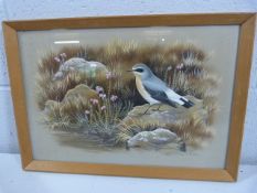 PAUL A NICHOLAS - 'Wheatear and cross-leaved Heath'. Medium - Gouache. Approx dimensions - 41cm x