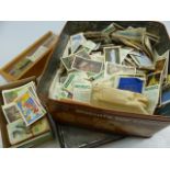 Selection of tea cards and cigarette cards