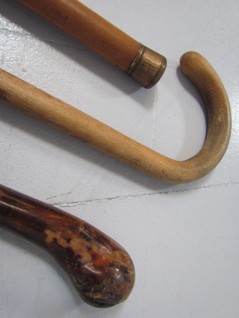 Three vintage walking sticks - Image 2 of 2