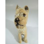 Steiff rotating head Rattler dog, 1930s, With beige mohair. Tag to ear and missing most of hair, but