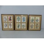 Tunnicliff prints depicting birds. Four pictures in each frame.