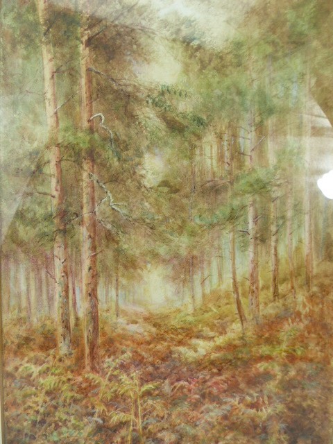 Walter Duncan Watercolour 'In a Surrey Wood'. Signed. - Image 2 of 3