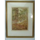 Walter Duncan Watercolour 'In a Surrey Wood'. Signed.