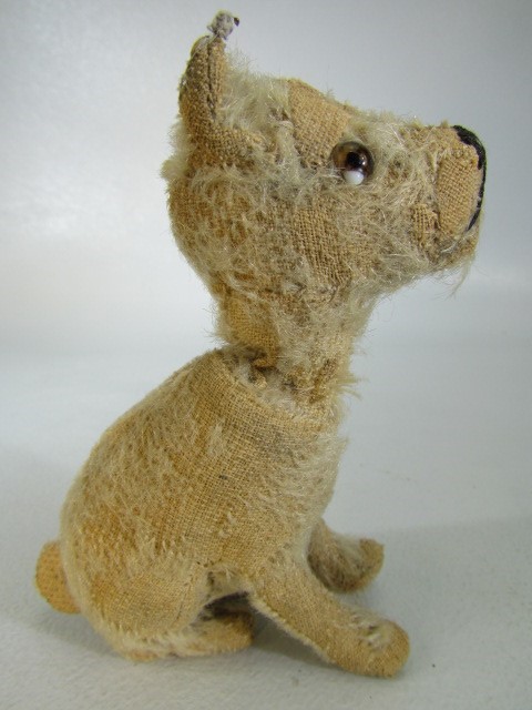 Steiff rotating head Rattler dog, 1930s, With beige mohair. Tag to ear and missing most of hair, but - Image 7 of 14