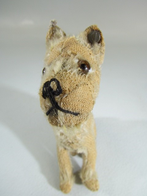 Steiff rotating head Rattler dog, 1930s, With beige mohair. Tag to ear and missing most of hair, but