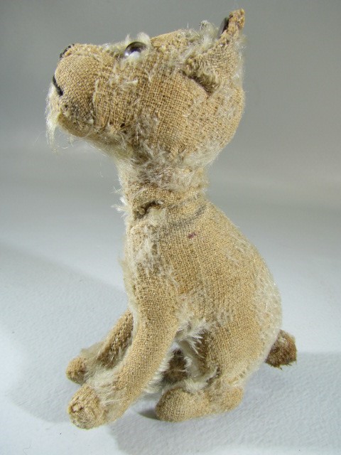 Steiff rotating head Rattler dog, 1930s, With beige mohair. Tag to ear and missing most of hair, but - Image 3 of 14
