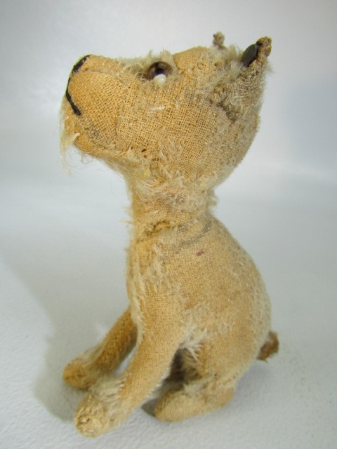 Steiff rotating head Rattler dog, 1930s, With beige mohair. Tag to ear and missing most of hair, but - Image 13 of 14