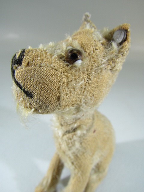 Steiff rotating head Rattler dog, 1930s, With beige mohair. Tag to ear and missing most of hair, but - Image 4 of 14