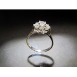 18ct White Gold Diamond 'daisy head' ring. Centre approx 1/2 carat surrounded by seven diamond chips