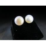 Cultured Pearl stud earrings.
