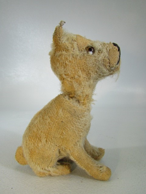 Steiff rotating head Rattler dog, 1930s, With beige mohair. Tag to ear and missing most of hair, but - Image 6 of 14