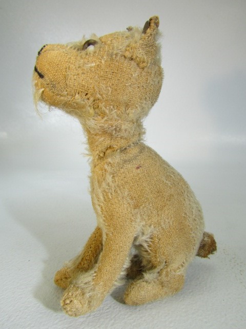Steiff rotating head Rattler dog, 1930s, With beige mohair. Tag to ear and missing most of hair, but - Image 12 of 14