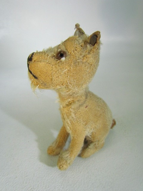 Steiff rotating head Rattler dog, 1930s, With beige mohair. Tag to ear and missing most of hair, but - Image 14 of 14