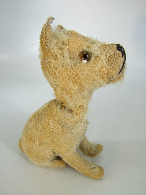 Steiff rotating head Rattler dog, 1930s, With beige mohair. Tag to ear and missing most of hair, but - Image 8 of 14