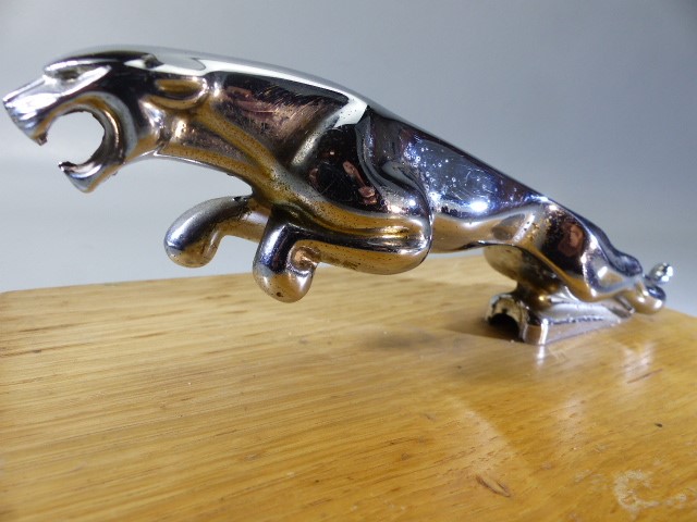 Chrome Jaguar car mascot on wooden stand - Image 5 of 5