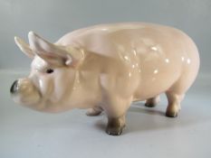 Ceramic Piggy bank