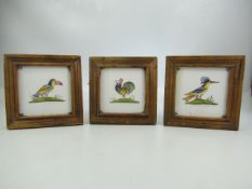 Antique delft tiles - in polychrome decoration depicting birds. All three framed