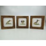 Antique delft tiles - in polychrome decoration depicting birds. All three framed