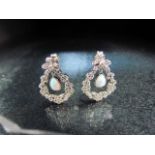 Silver and opal pair of panelled earrings