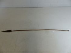 19th Century Zulu war spear