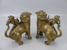 Pair of Chinese Foo Dogs with babies on their backs. Dogs of Fo cast in Brass approx 12cm high