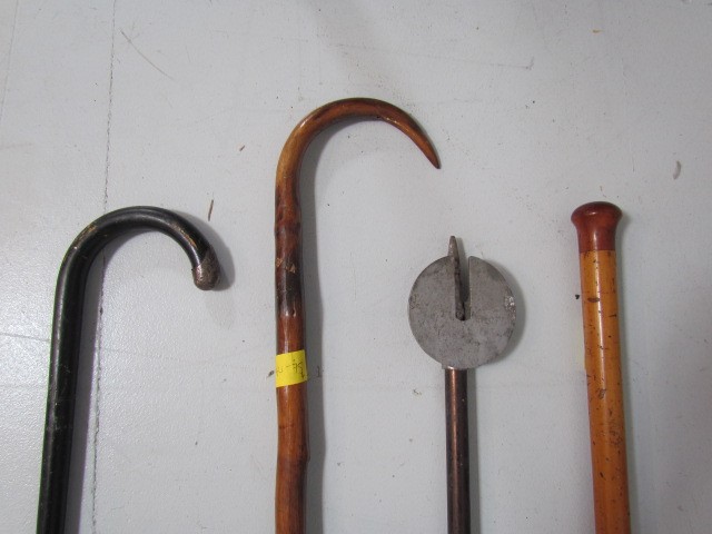 Hallmarked silver topped walking stick along with a shooting stick and two others - Image 2 of 2