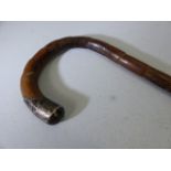 Hallmarked silver topped cane - Birmingham J.H