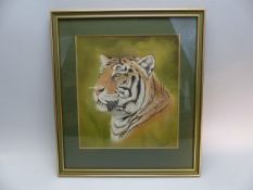 Tom Burley - Pastel drawing of a Tiger's head.