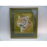 Tom Burley - Pastel drawing of a Tiger's head.