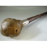 Knobkerrie style walking stick with hallmarked silver collar. London J.H