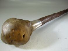 Knobkerrie style walking stick with hallmarked silver collar. London J.H