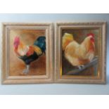Pair of framed oil paintings of chickens by Ros Heaven