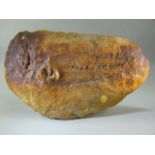 Fossilised fish, approx length 30cm