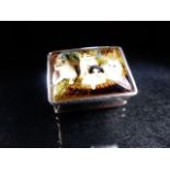 Silver pill box with enamel lid depicting cats