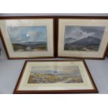 Three gouaches of Exmoor scenes, two signed, one A. Newman