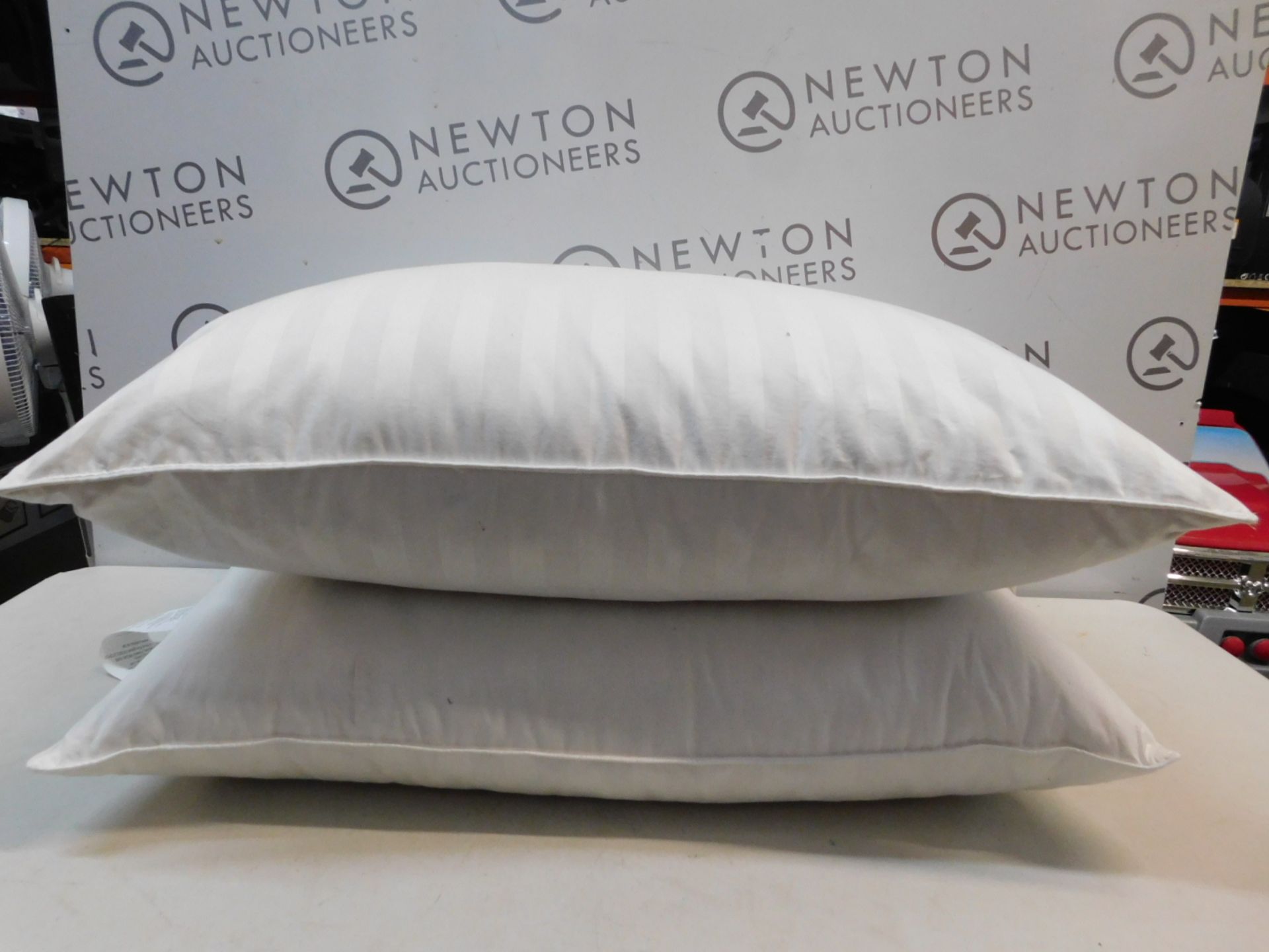 1 SET OF 2 SNUGGLEDOWN LUXURIOUS DUCKDOWN PILLOWS RRP £39.99