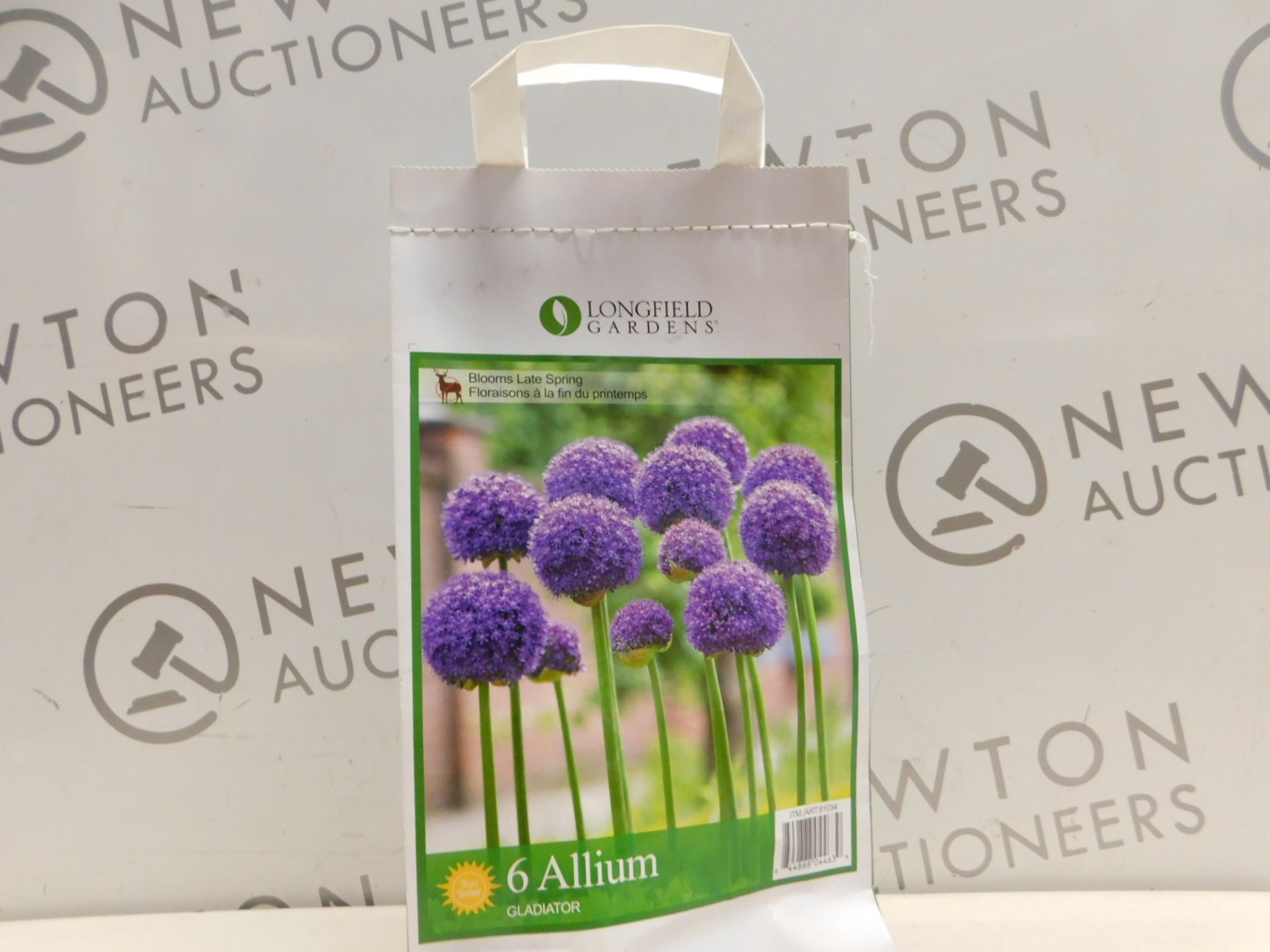 1 PACK OF LONGFIELD GARDENS 6 ALLIUM RRP Â£24.99