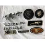 A selection of Jaguar insignia and badges, also a small leaper, the insignia to include E-type.