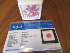 IGL&I Certified 7.05 carat 39 pieces Natural Ruby Gemstones. A fantastic collection for many bespoke