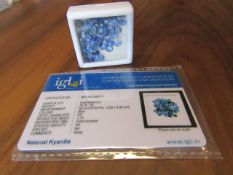 IGL&I Certified 25.70 50 pieces Natural Kyanite Gemstones. A fantastic collection for many bespoke