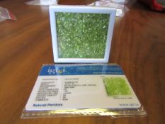 IGL&I Certified 101.00 carat 222 pieces Natural Peridot Gemstones. A fantastic collection for many