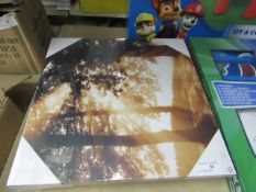 Set of 3 Woodland themed Canvases all in packaging
