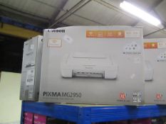 Canon Pixma MG2950 Wi-Fi printer, untested and boxed.