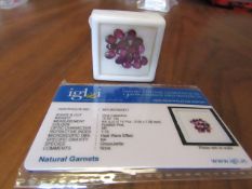 IGL&I Certified 20.60 carat 42 pieces Natural Garnet Gemstones. Untreated. A fantastic collection