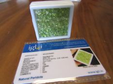 IGL&I Certified 58.00 carat 120 pieces Natural Peridot Gemstones. A fantastic collection for many