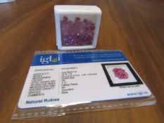 IGL&I Certified 20,25 carat 75 pieces Natural Ruby Gemstones. Untreated. A fantastic collection