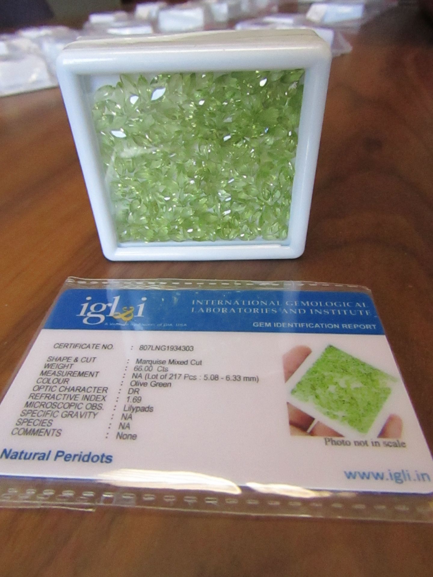 IGL&I Certified 66.00 carat 217 pieces Natural Peridot Gemstones.  A fantastic collection for many